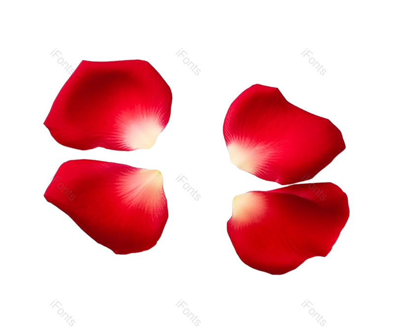 520图片,玫瑰花元素,玫瑰PNG,玫瑰花瓣免抠素材